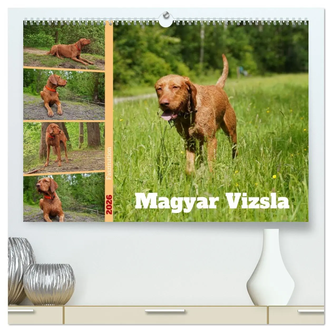 Cover: 9783457428870 | Faszination Magyar Vizsla (hochwertiger Premium Wandkalender 2026...