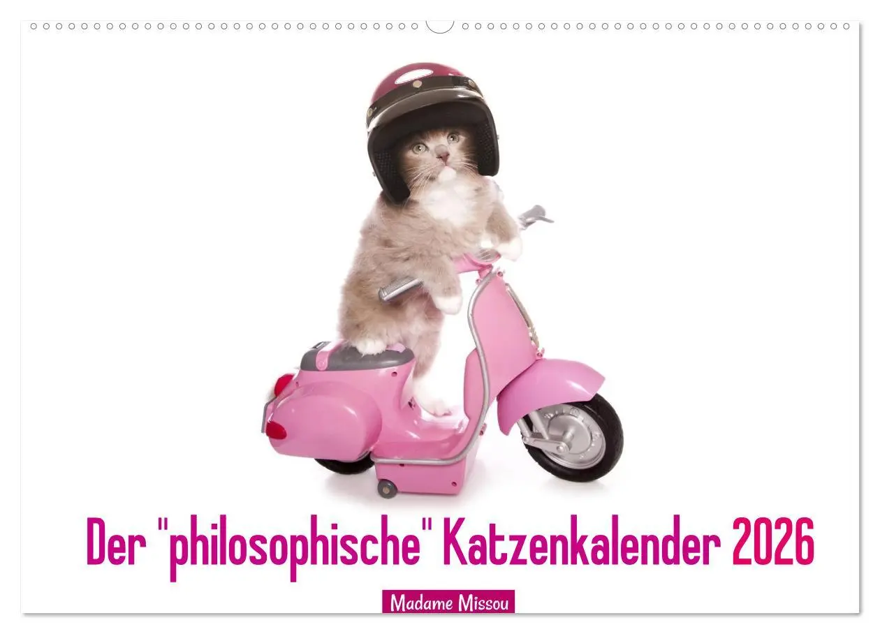 Cover: 9783516068870 | Der "philosophische" Katzenkalender 2026 (Wandkalender 2026 DIN A2...