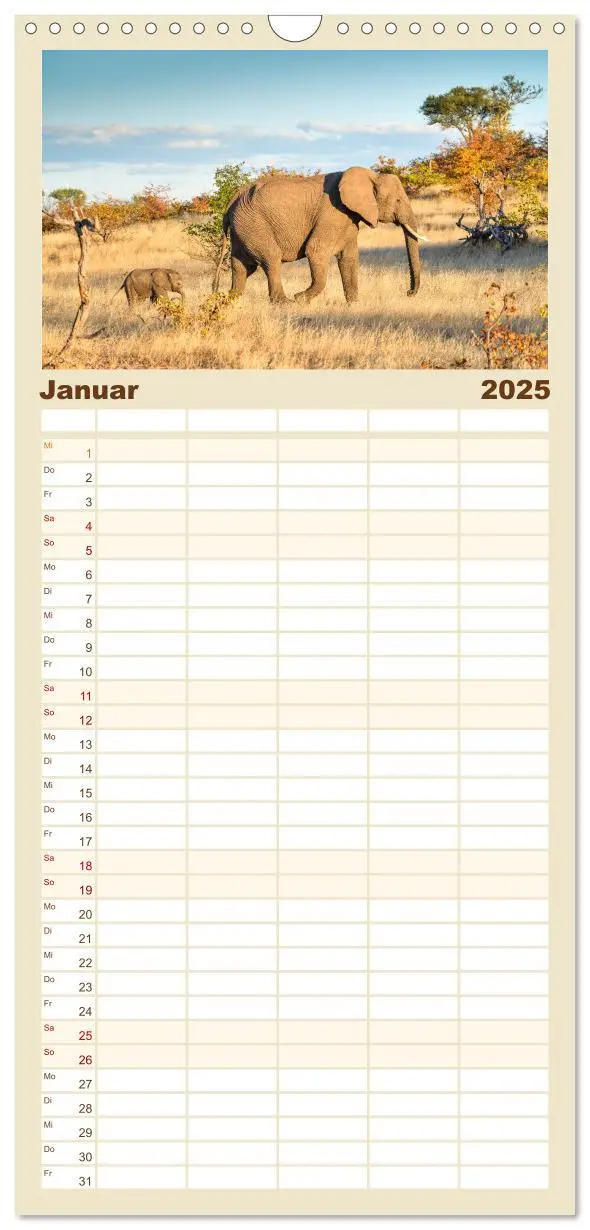 Bild: 9783457108970 | Familienplaner 2025 - Babyelefanten mit 5 Spalten (Wandkalender, 21...