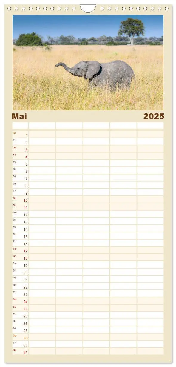 Bild: 9783457108970 | Familienplaner 2025 - Babyelefanten mit 5 Spalten (Wandkalender, 21...