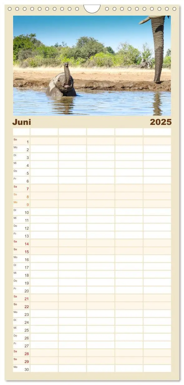 Bild: 9783457108970 | Familienplaner 2025 - Babyelefanten mit 5 Spalten (Wandkalender, 21...