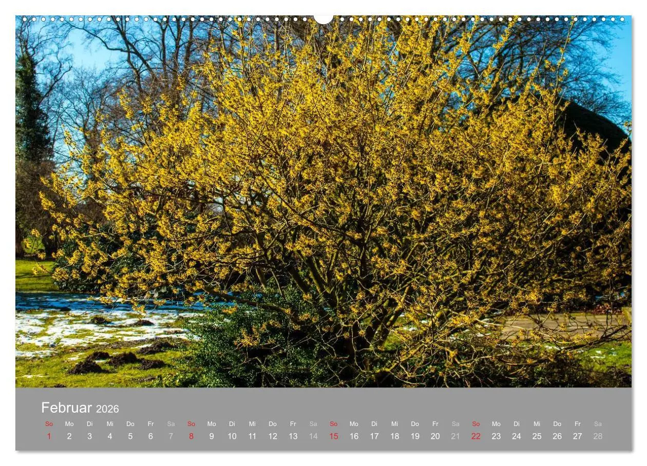 Bild: 9783516058970 | Romantische Garten-Paradiese (Wandkalender 2026 DIN A2 quer),...