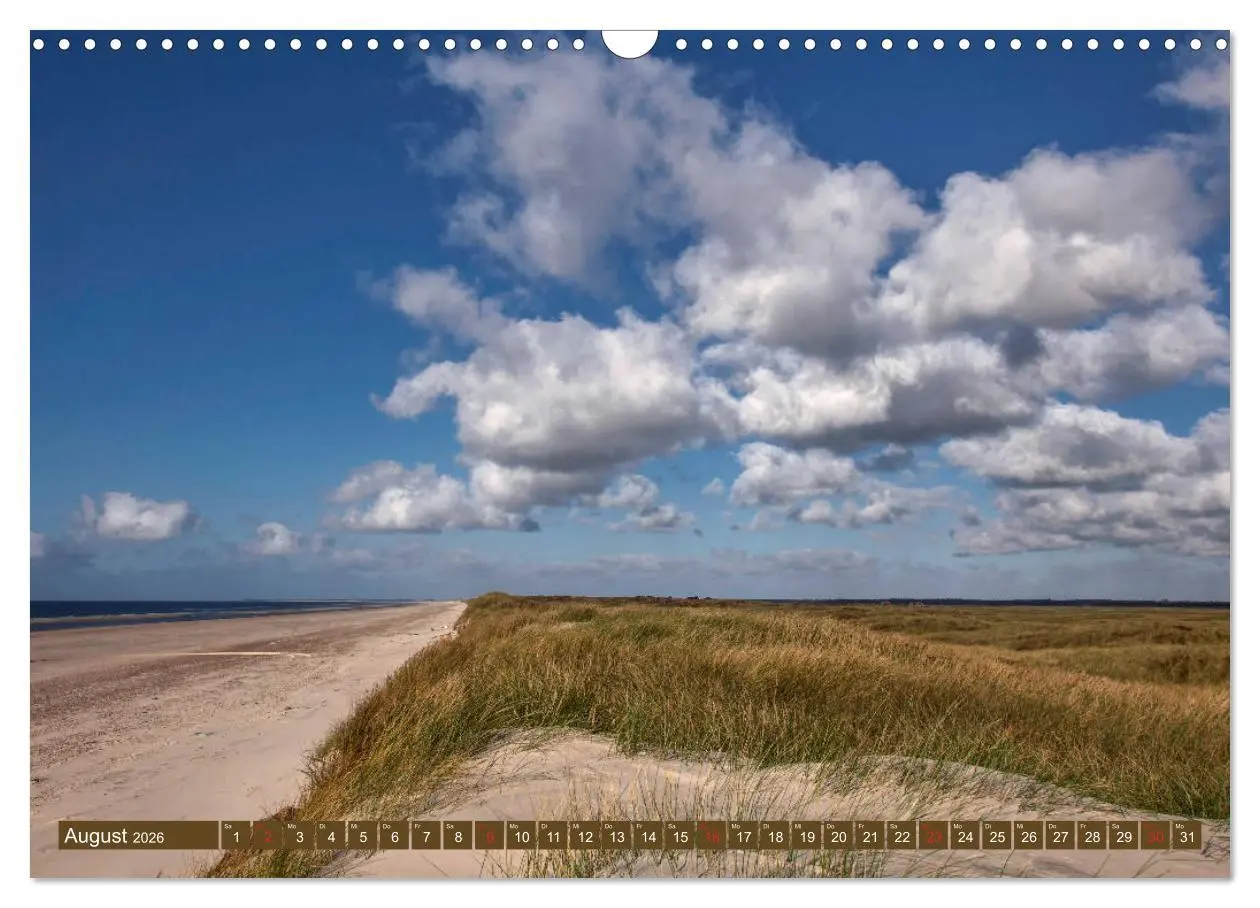 Bild: 9783457929070 | Blåvand - Sonne, Meer und Strand (Wandkalender 2026 DIN A3 quer),...