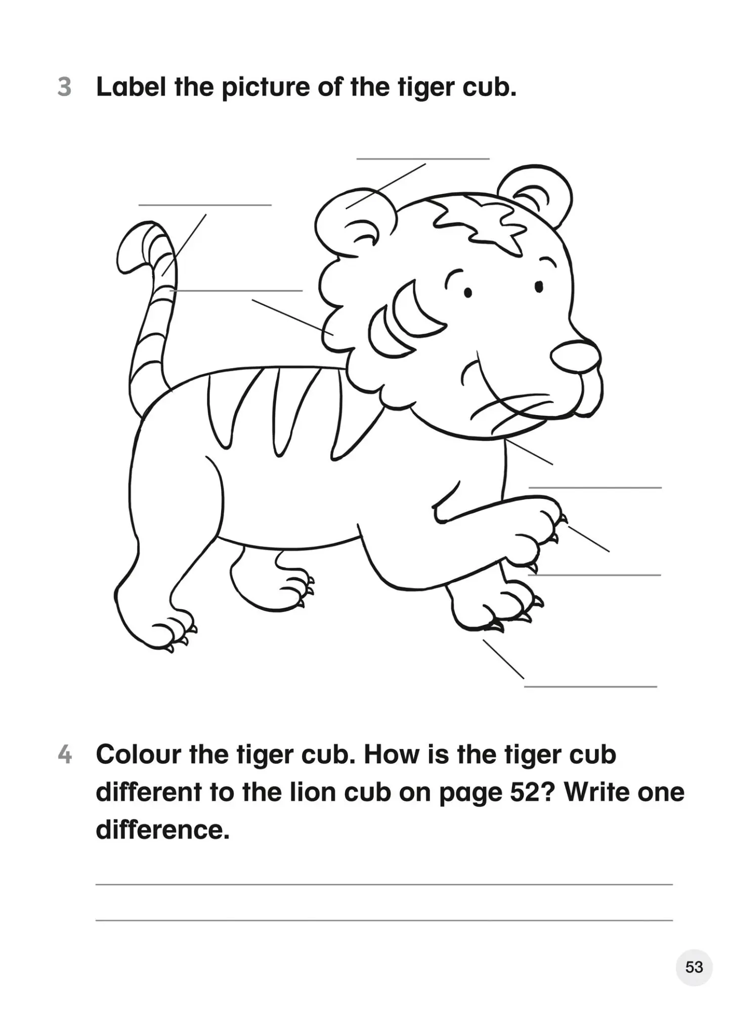 Bild: 9780008369170 | Explore English Student's Coursebook: Stage 2 | Daphne Paizee | Buch
