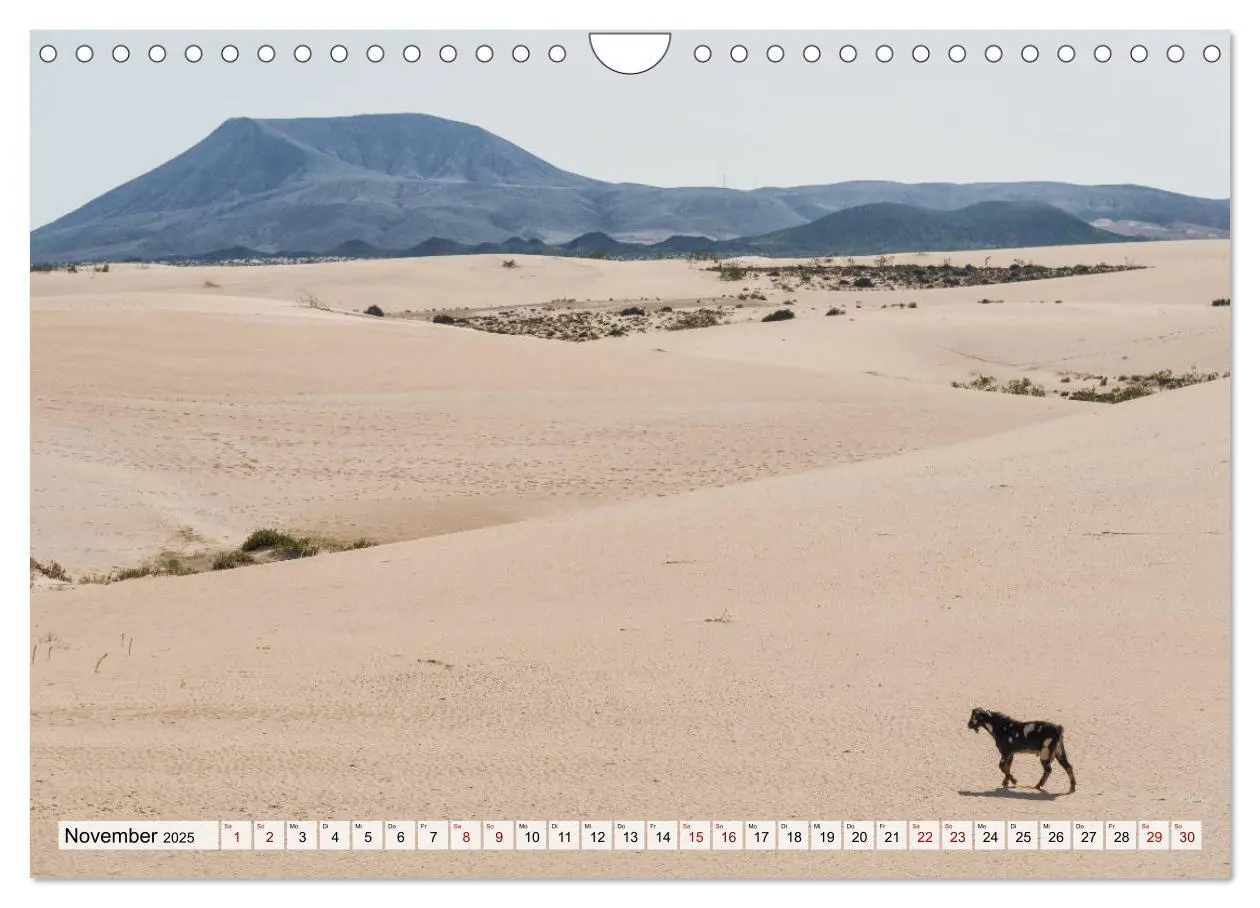 Bild: 9783435139170 | Fuerteventura Sand und bunte Farben (Wandkalender 2025 DIN A4...