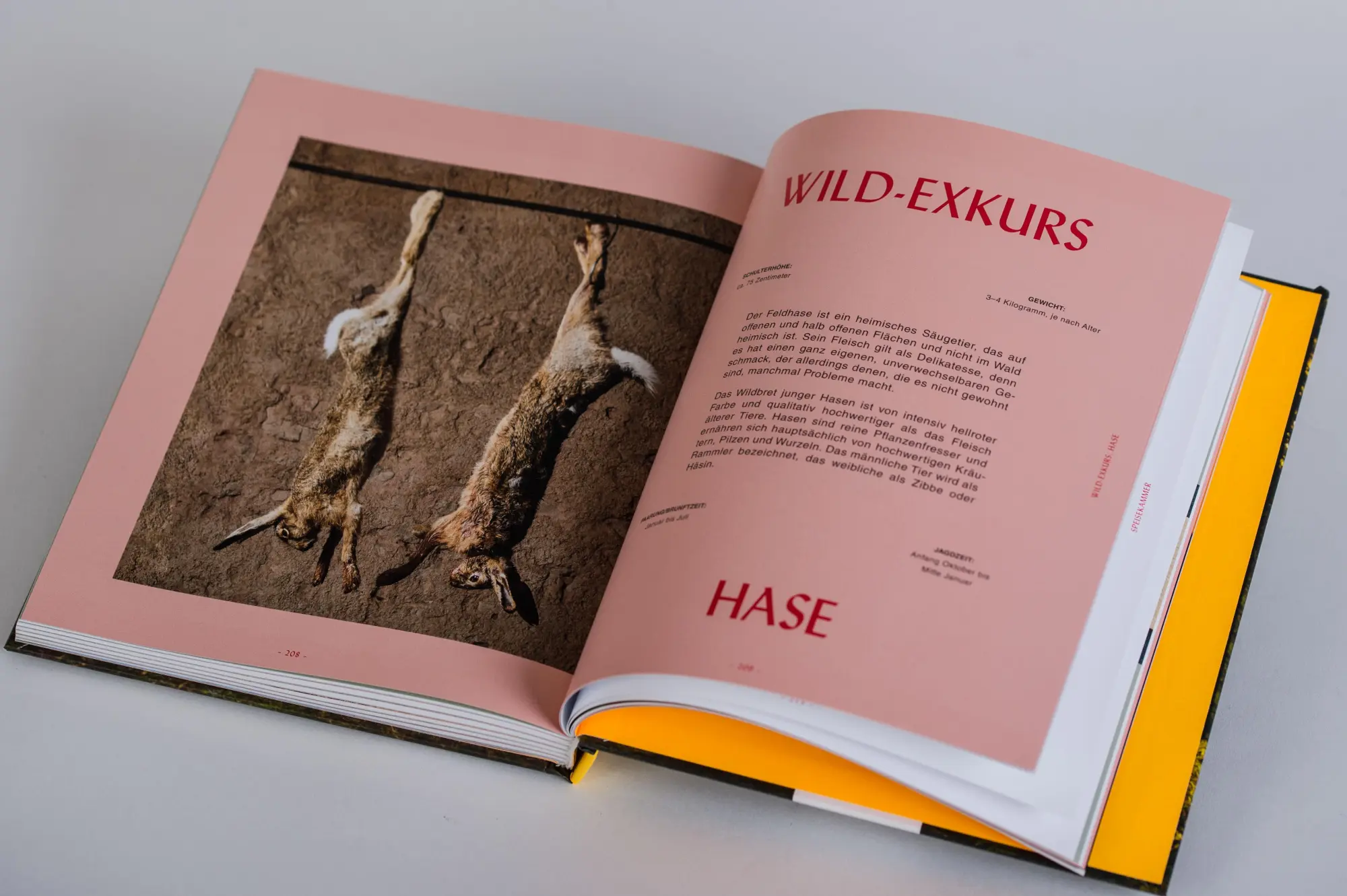 Bild: 9783517099170 | Fuchsteufelswild - Das Wildkochbuch | Viktoria Fuchs | Buch | 240 S.