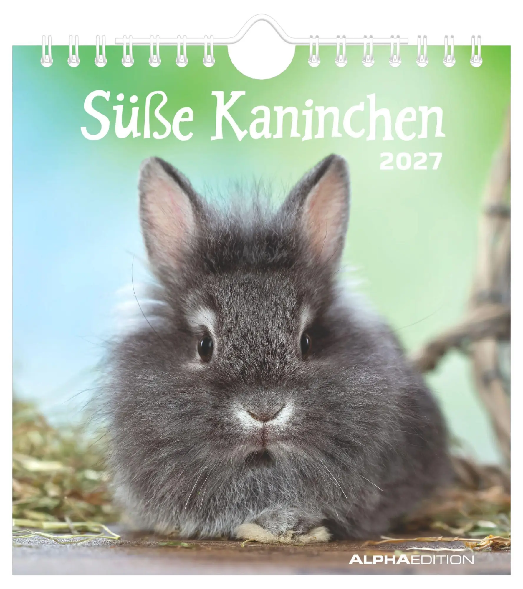 Cover: 4069095019270 | Süße Kaninchen 2027 | Kalender | 14 S. | Deutsch | 2027