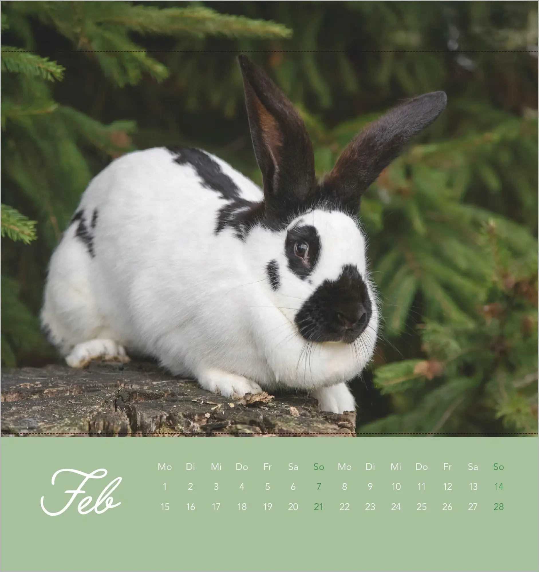 Bild: 4069095019270 | Süße Kaninchen 2027 | Kalender | 14 S. | Deutsch | 2027