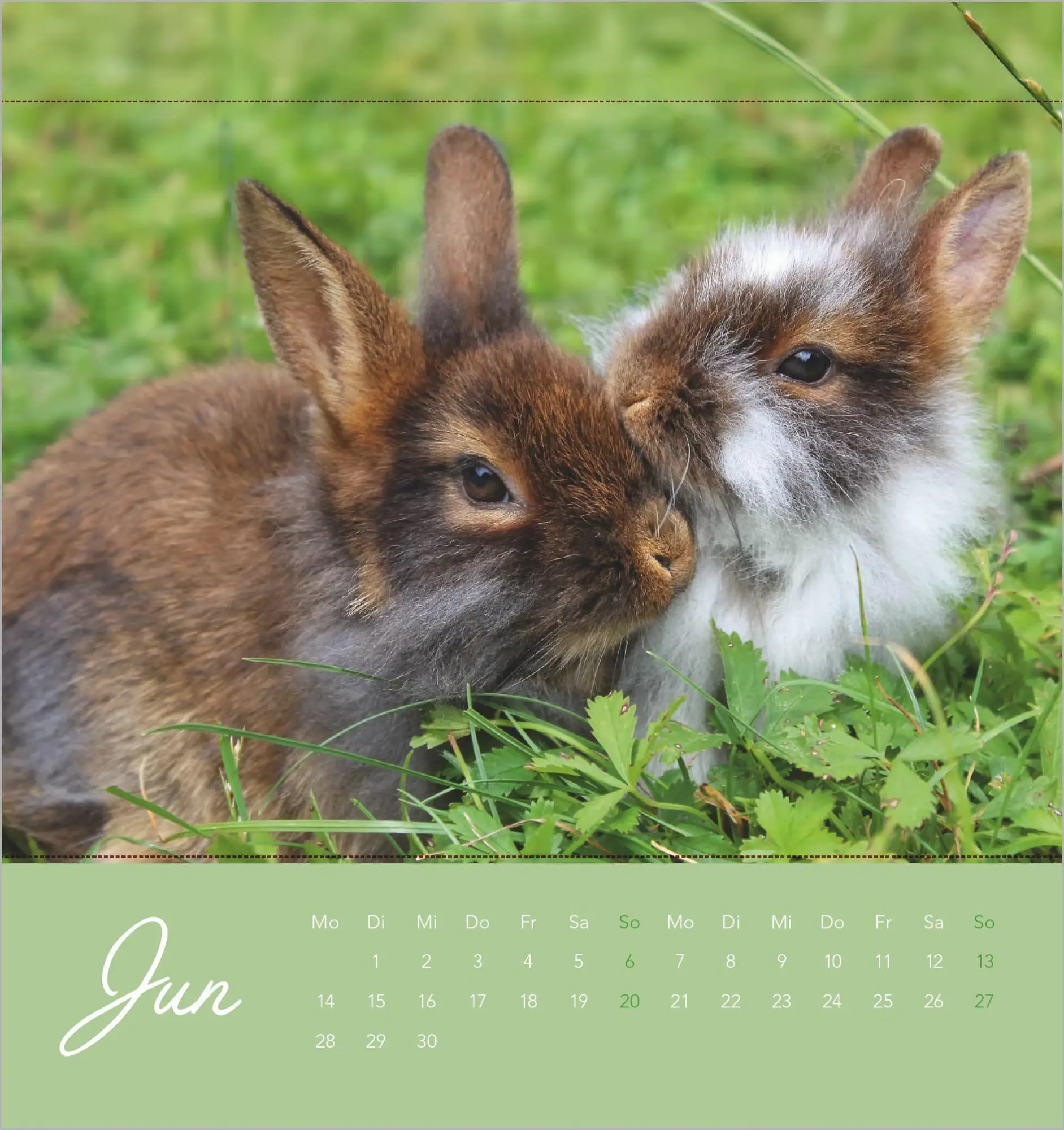 Bild: 4069095019270 | Süße Kaninchen 2027 | Kalender | 14 S. | Deutsch | 2027