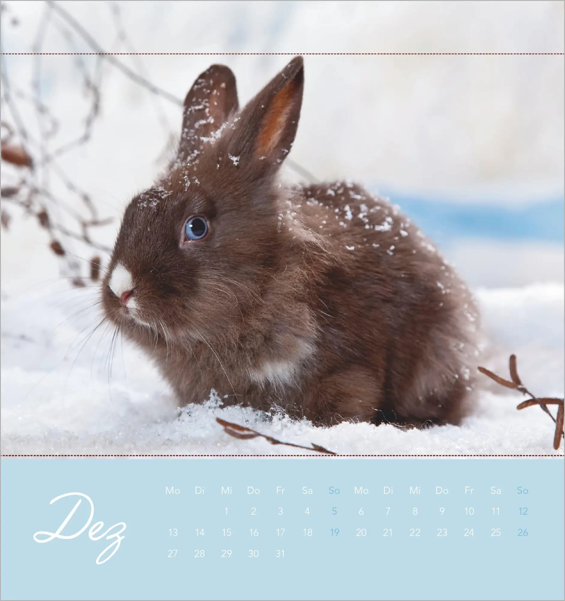 Bild: 4069095019270 | Süße Kaninchen 2027 | Kalender | 14 S. | Deutsch | 2027