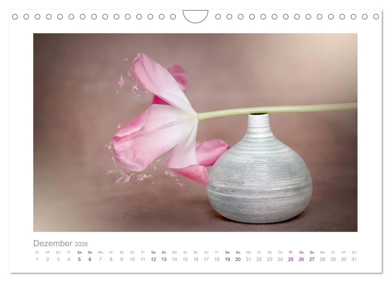 Bild: 9783457909270 | Blumen zart und schön (Wandkalender 2026 DIN A4 quer), CALVENDO...
