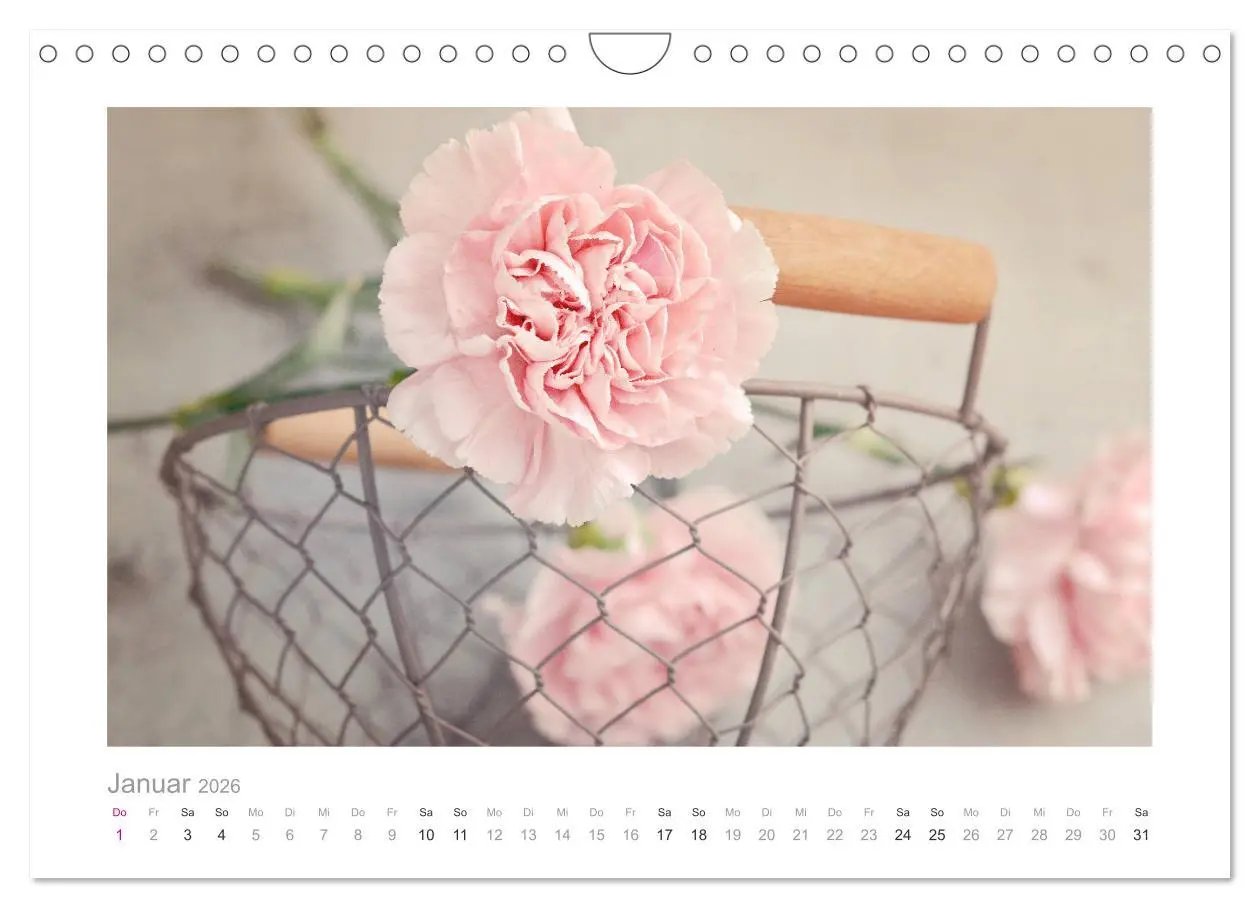 Bild: 9783457909270 | Blumen zart und schön (Wandkalender 2026 DIN A4 quer), CALVENDO...