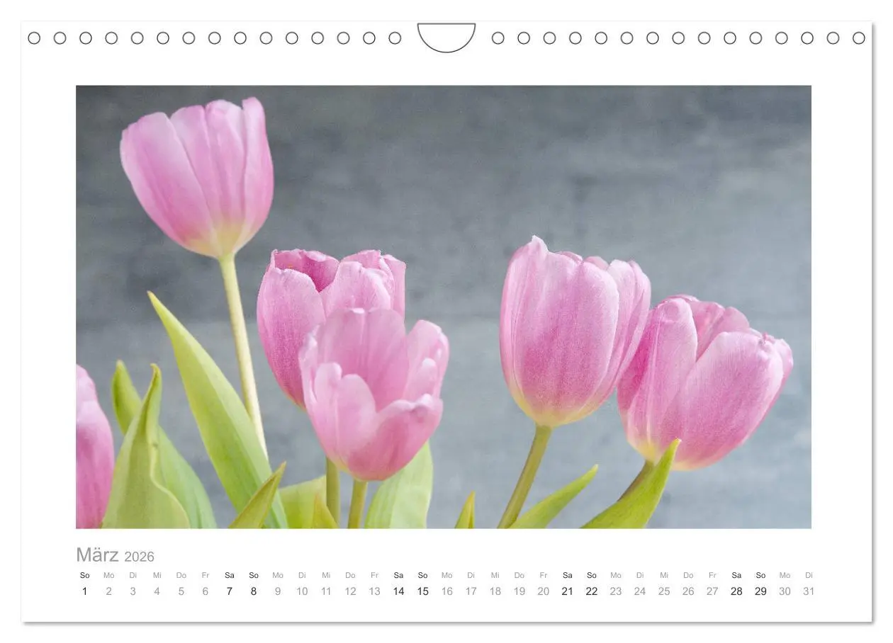 Bild: 9783457909270 | Blumen zart und schön (Wandkalender 2026 DIN A4 quer), CALVENDO...