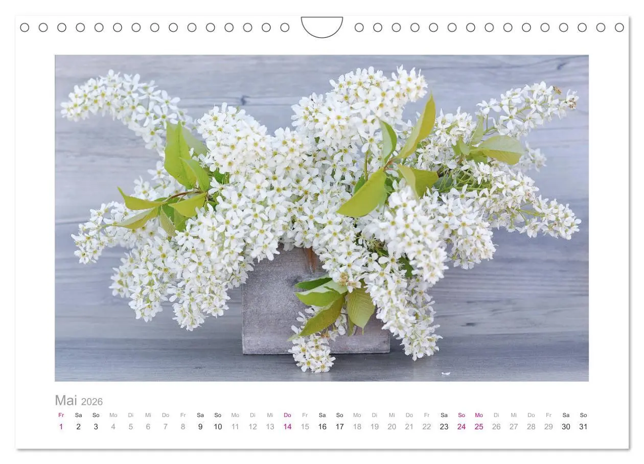 Bild: 9783457909270 | Blumen zart und schön (Wandkalender 2026 DIN A4 quer), CALVENDO...