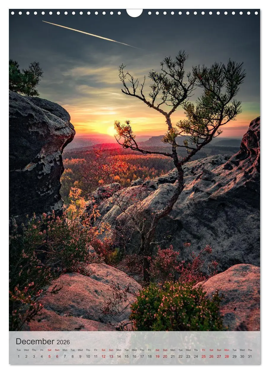 Bild: 9783516549270 | Longing for Travel (Wall Calendar 2026 DIN A3 portrait), CALVENDO...