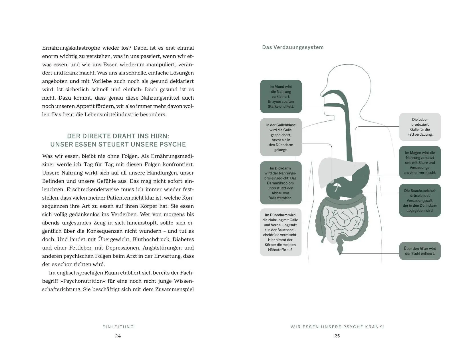 Bild: 9783833899270 | Das Psyche-Darm-Paradox | Matthias Riedl | Buch | 272 S. | Deutsch