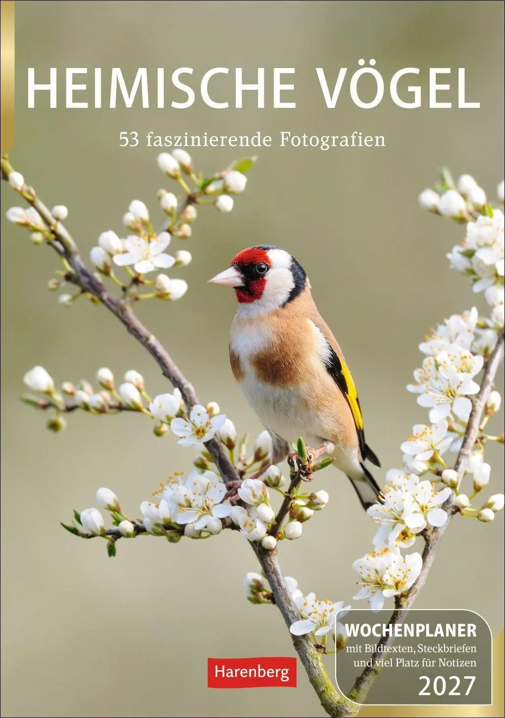 Cover: 9783840039270 | Heimische Vögel Wochenplaner 2027 - 53 faszinierende Fotografien