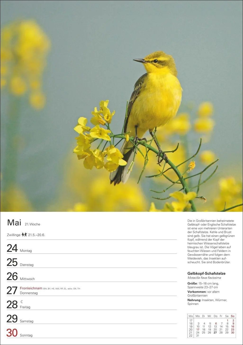 Bild: 9783840039270 | Heimische Vögel Wochenplaner 2027 - 53 faszinierende Fotografien