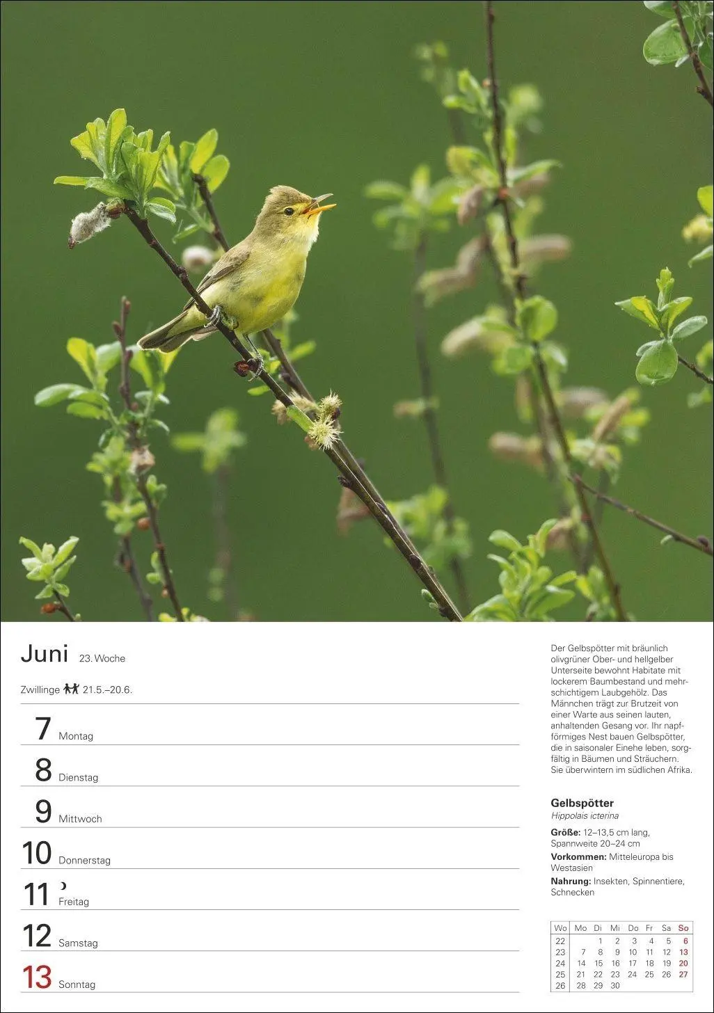 Bild: 9783840039270 | Heimische Vögel Wochenplaner 2027 - 53 faszinierende Fotografien