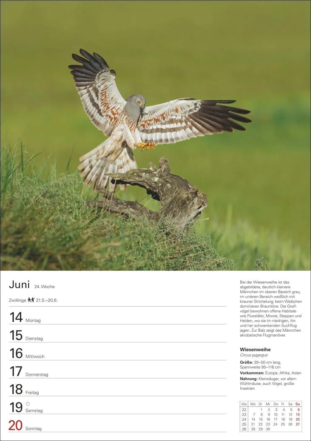 Bild: 9783840039270 | Heimische Vögel Wochenplaner 2027 - 53 faszinierende Fotografien
