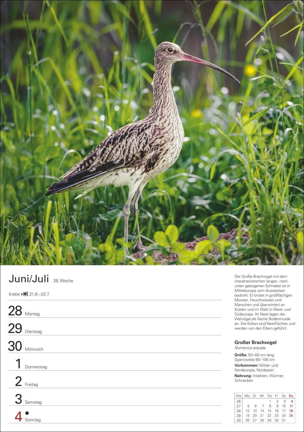 Bild: 9783840039270 | Heimische Vögel Wochenplaner 2027 - 53 faszinierende Fotografien