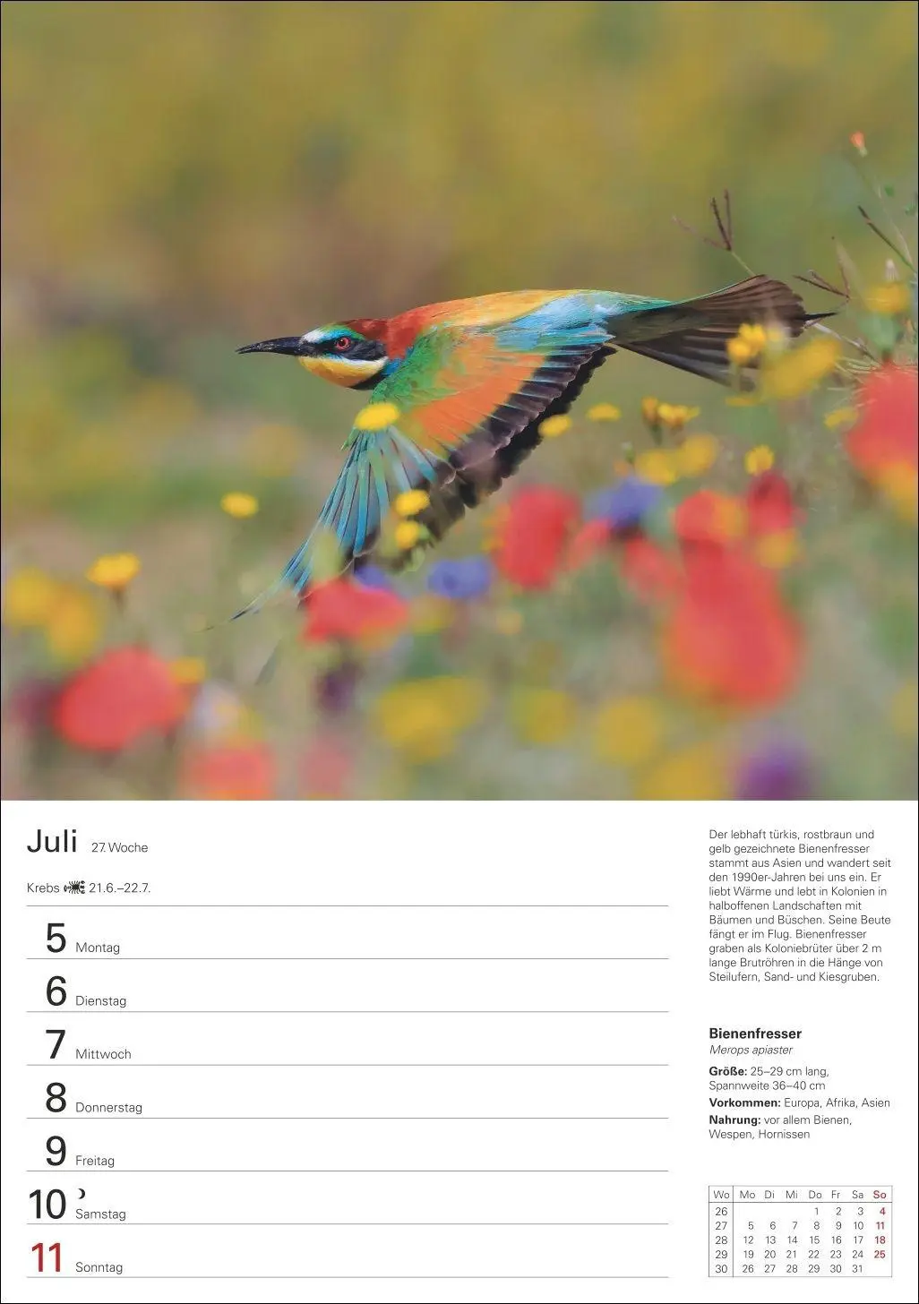 Bild: 9783840039270 | Heimische Vögel Wochenplaner 2027 - 53 faszinierende Fotografien