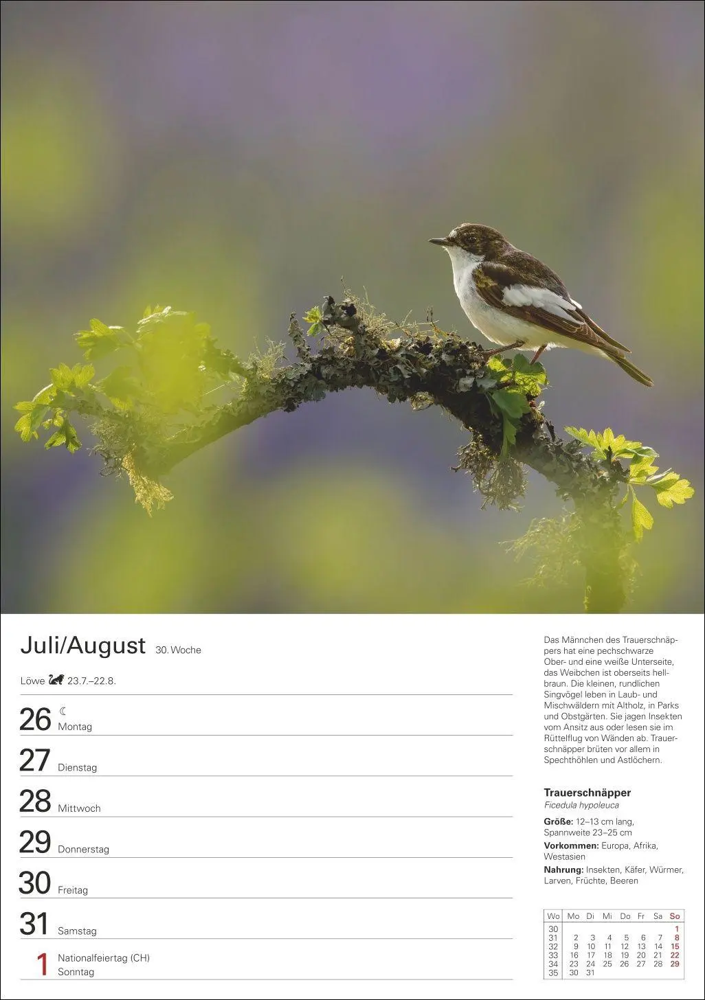 Bild: 9783840039270 | Heimische Vögel Wochenplaner 2027 - 53 faszinierende Fotografien