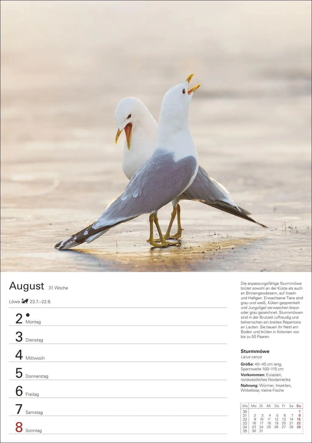Bild: 9783840039270 | Heimische Vögel Wochenplaner 2027 - 53 faszinierende Fotografien