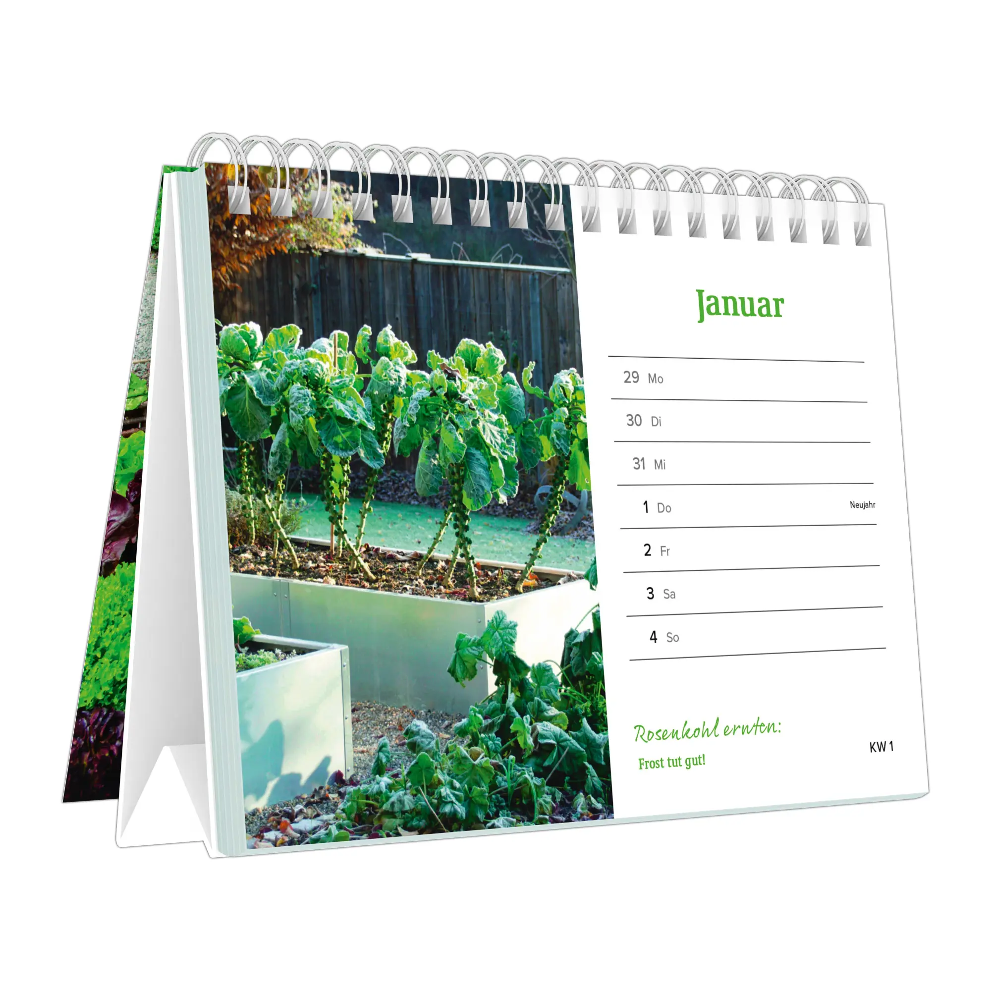 Bild: 4069095009370 | Dein Jahr im Hochbeet | Becker Joest Volk Verlag GmbH | Kalender
