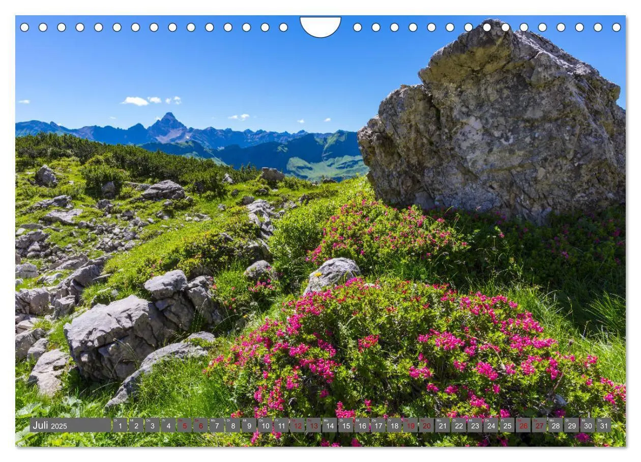 Bild: 9783435359370 | Faszination Oberallgäu (Wandkalender 2025 DIN A4 quer), CALVENDO...