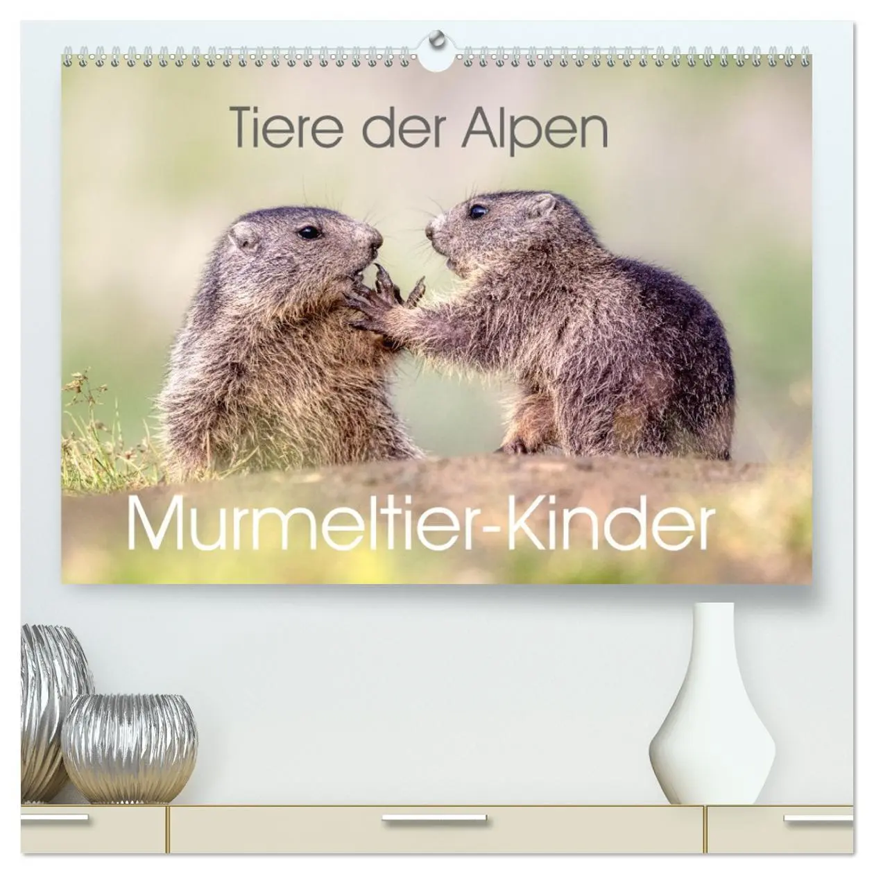 Cover: 9783457379370 | Tiere der Alpen - Murmeltier-Kinder (hochwertiger Premium...
