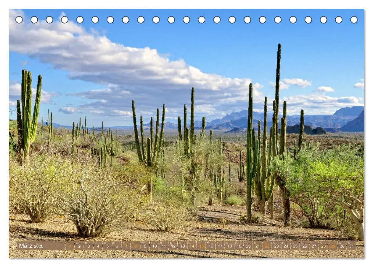 Bild: 9783457519370 | Mexiko: Natur mit Geschichte (Tischkalender 2026 DIN A5 quer),...