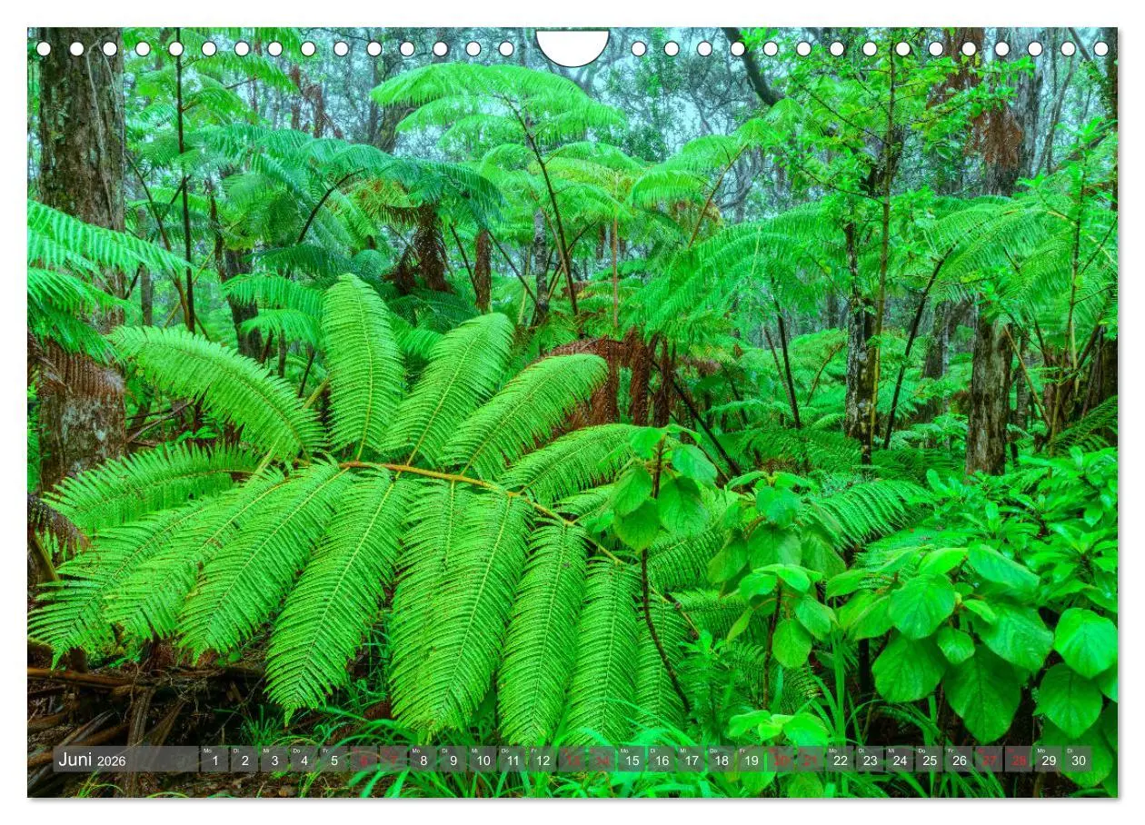Bild: 9783457689370 | Nationalparks der USA (Wandkalender 2026 DIN A4 quer), CALVENDO...