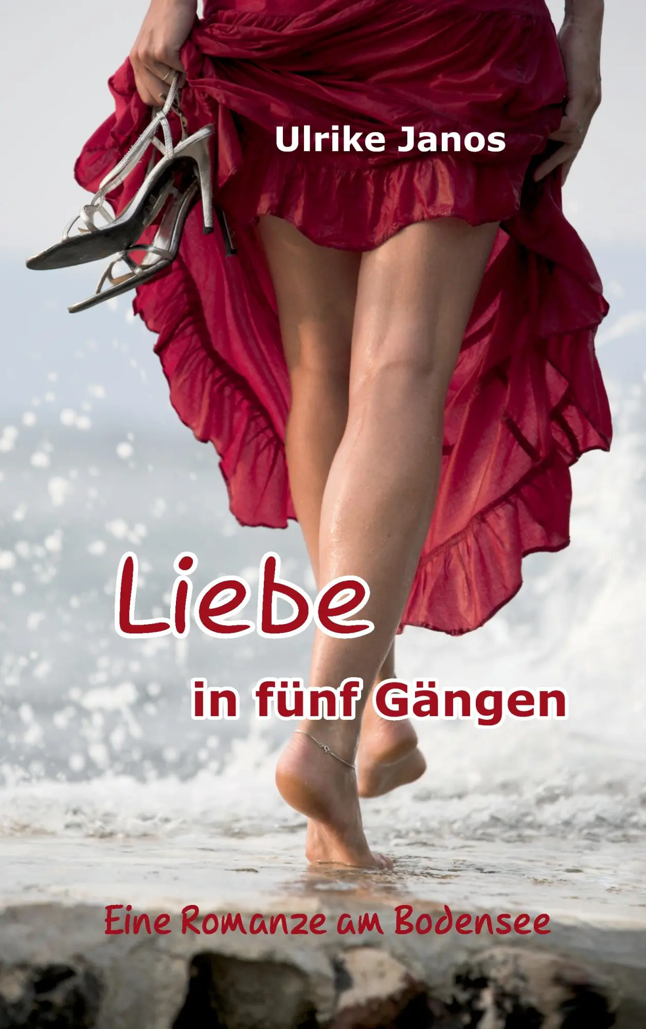 Cover: 9783740729370 | Liebe in fünf Gängen | Eine Romanze am Bodensee | Ulrike Janos | Buch