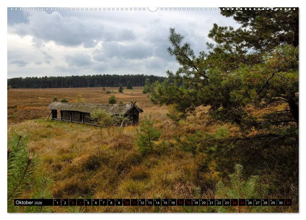 Bild: 9783457749470 | Lüneburger Heide (hochwertiger Premium Wandkalender 2026 DIN A2...