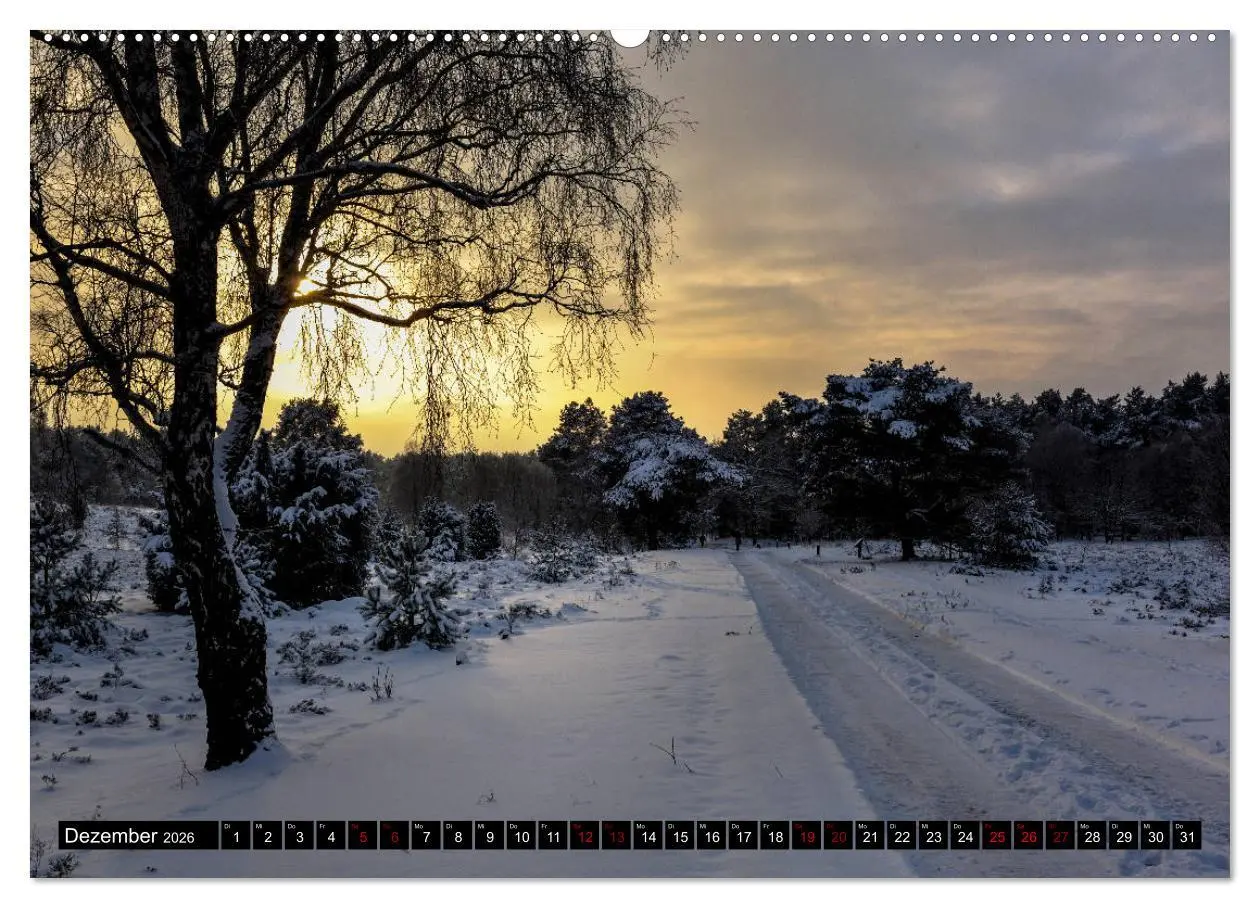 Bild: 9783457749470 | Lüneburger Heide (hochwertiger Premium Wandkalender 2026 DIN A2...