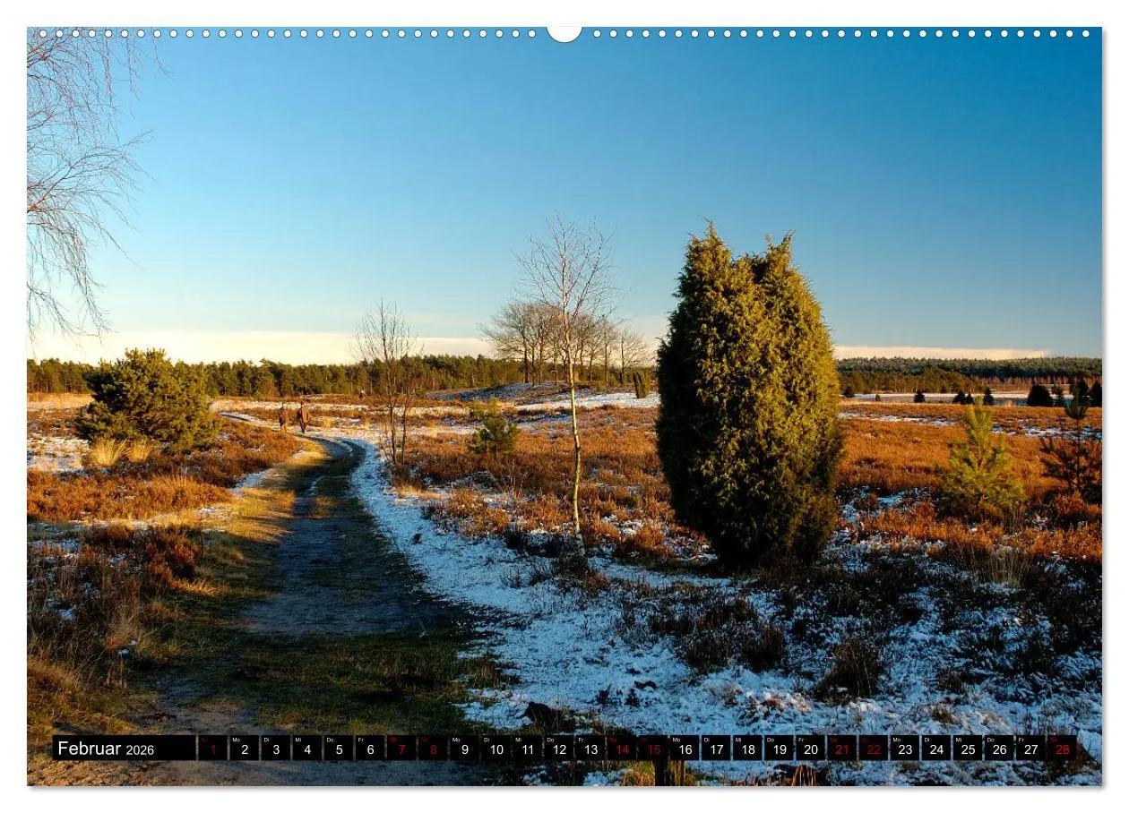 Bild: 9783457749470 | Lüneburger Heide (hochwertiger Premium Wandkalender 2026 DIN A2...
