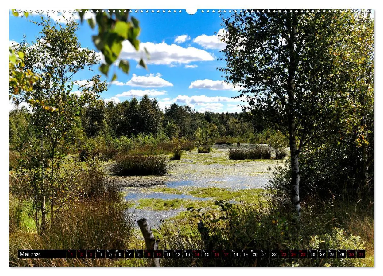 Bild: 9783457749470 | Lüneburger Heide (hochwertiger Premium Wandkalender 2026 DIN A2...