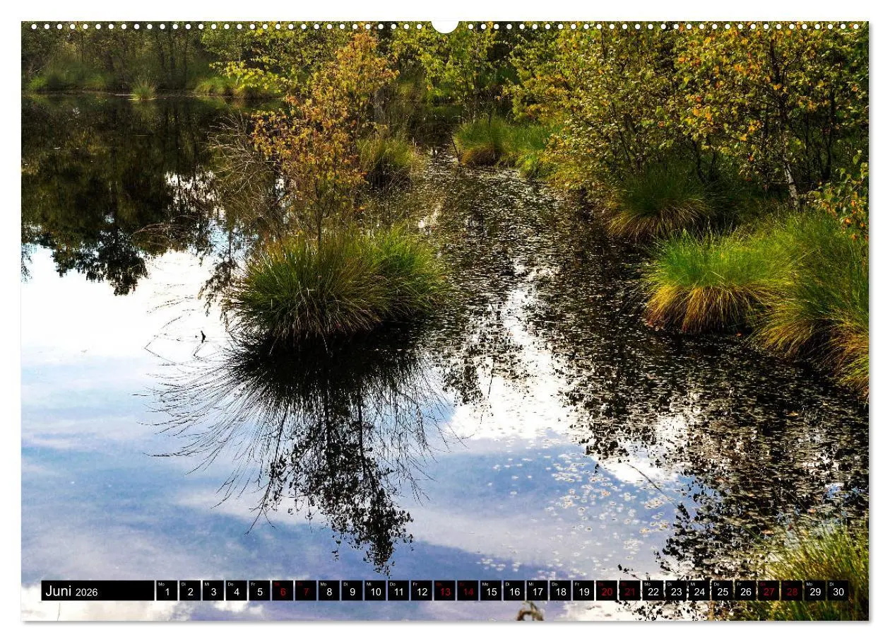 Bild: 9783457749470 | Lüneburger Heide (hochwertiger Premium Wandkalender 2026 DIN A2...