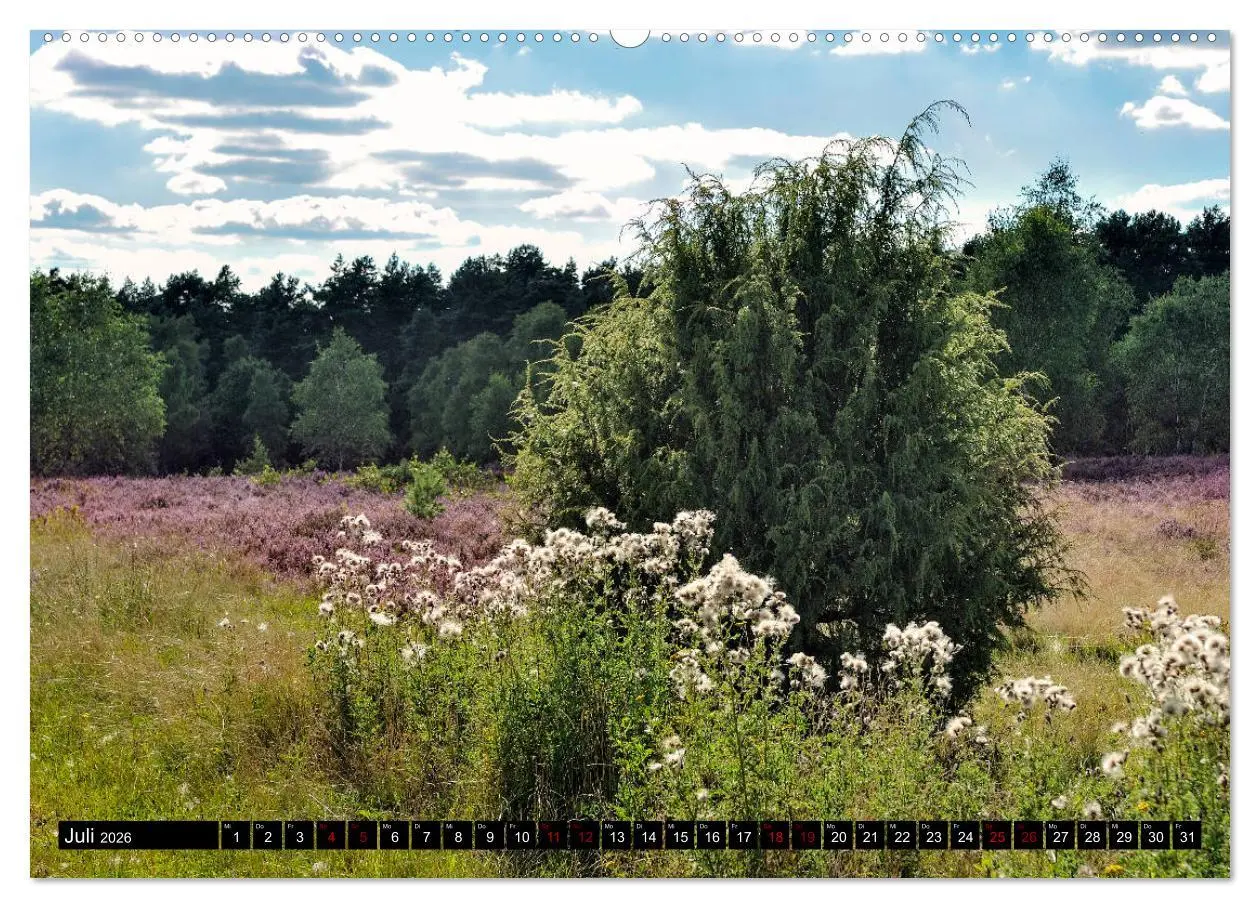 Bild: 9783457749470 | Lüneburger Heide (hochwertiger Premium Wandkalender 2026 DIN A2...