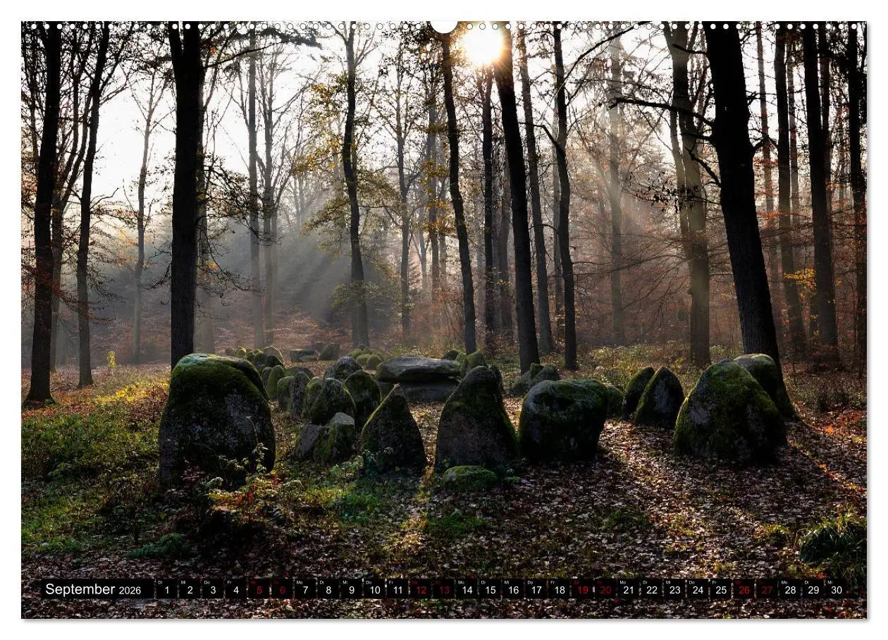 Bild: 9783457749470 | Lüneburger Heide (hochwertiger Premium Wandkalender 2026 DIN A2...