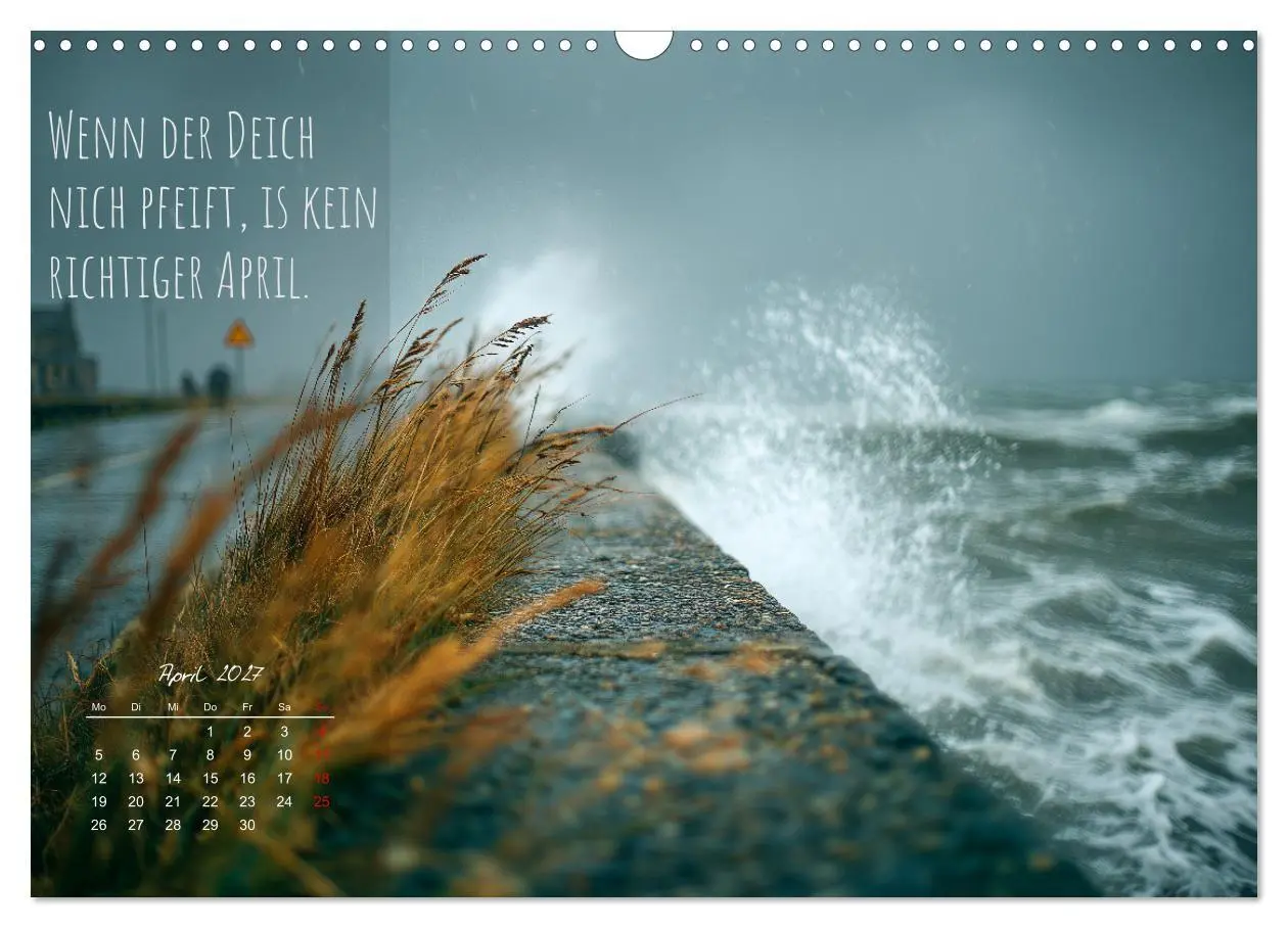Bild: 9783516909470 | Moin Moin ist schon gesabbel - Norddeutscher Sprüche-Kalender...