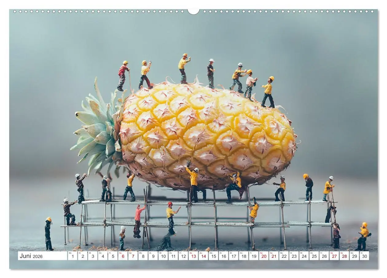 Bild: 9783457359570 | Miniatur-Universum: Ein Jahr in kleinen Welten (hochwertiger...
