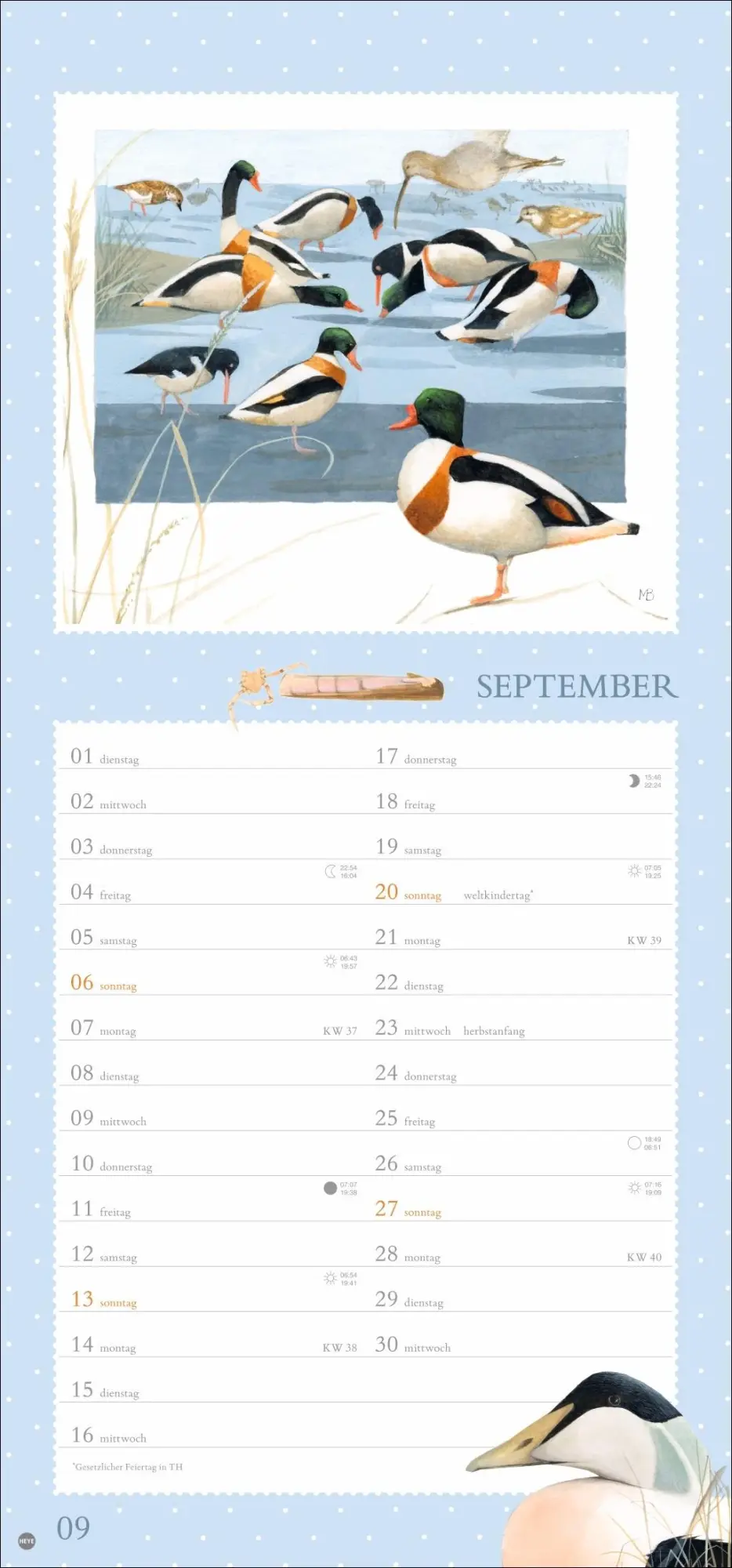 Bild: 9783756409570 | Marjolein Bastin: Wunder der Natur Kalender 2026 | Marjolein Bastin