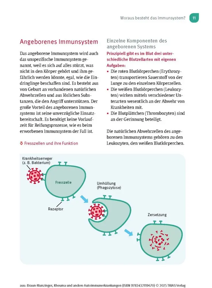 Bild: 9783432119670 | Naturheilpraxis: Rheuma und andere Autoimmunerkrankungen | Taschenbuch