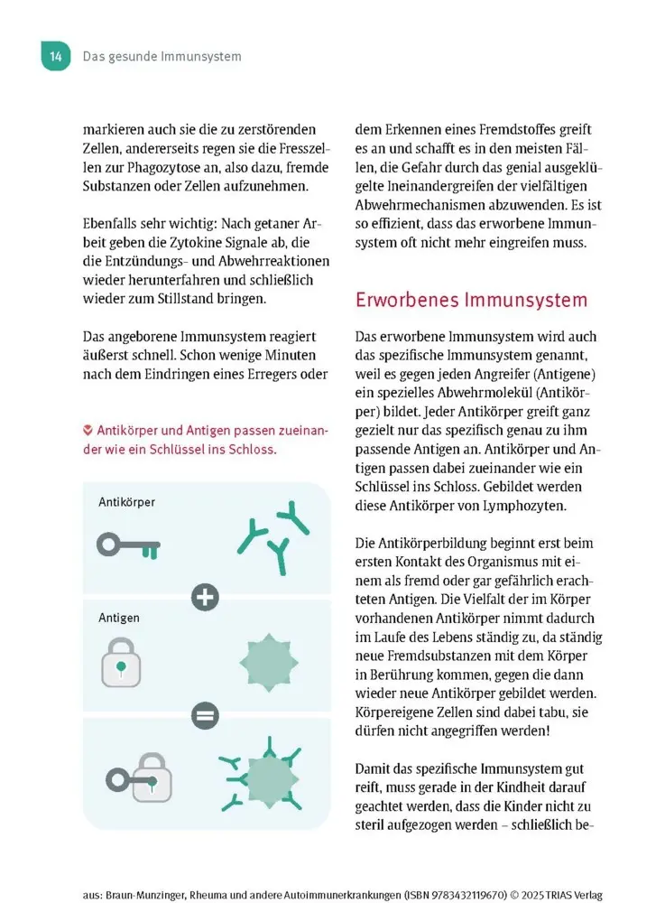 Bild: 9783432119670 | Naturheilpraxis: Rheuma und andere Autoimmunerkrankungen | Taschenbuch