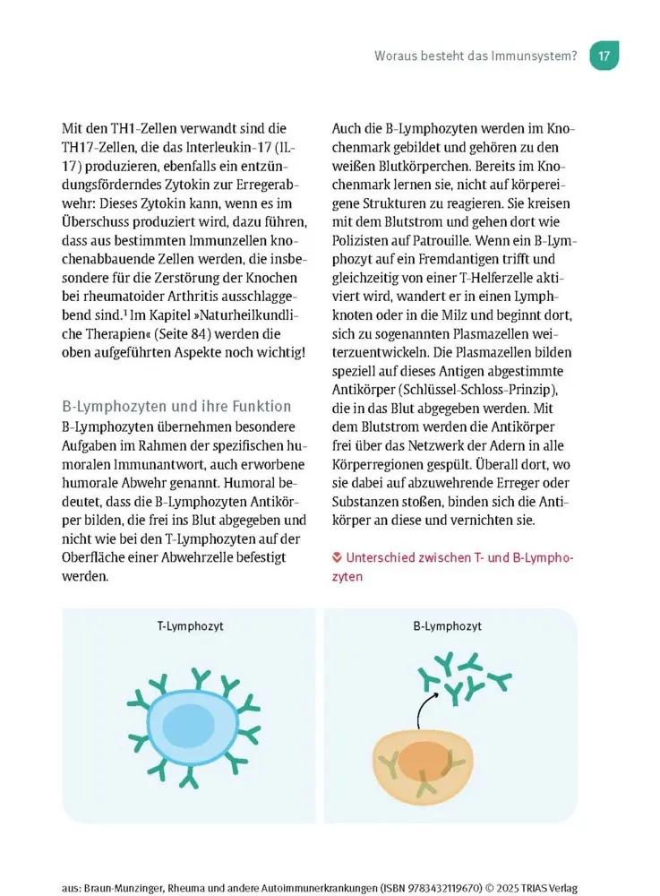 Bild: 9783432119670 | Naturheilpraxis: Rheuma und andere Autoimmunerkrankungen | Taschenbuch