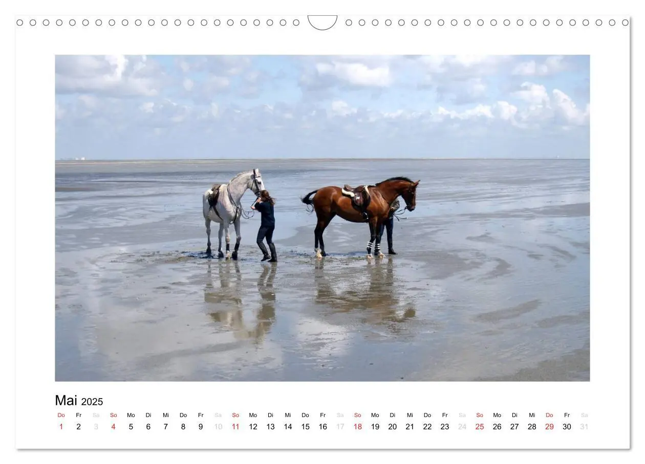 Bild: 9783435709670 | Die schöne Insel Neuwerk (Wandkalender 2025 DIN A3 quer), CALVENDO...