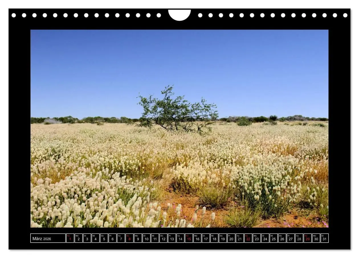 Bild: 9783516129670 | Australien - Von Perth bis Darwin (Wandkalender 2026 DIN A4 quer),...