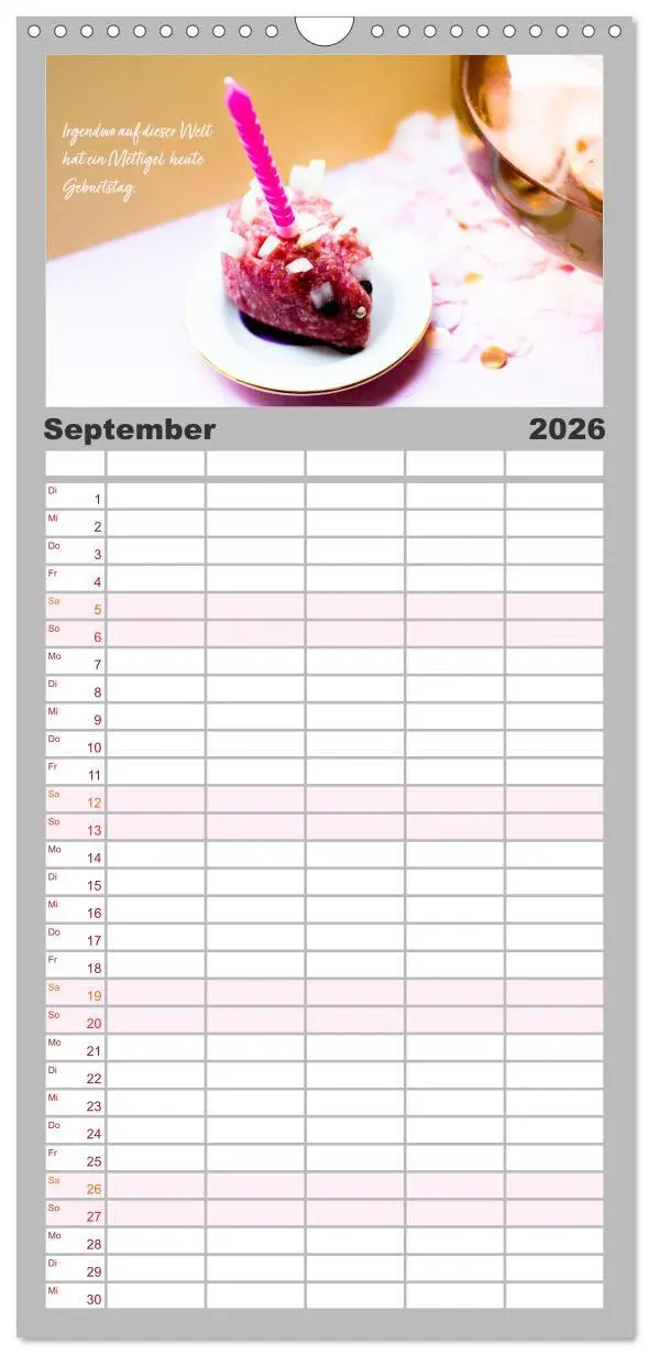 Bild: 9783516509670 | Familienplaner 2026 - Mettkalender - Mettigel Edition mit 5 Spalten...